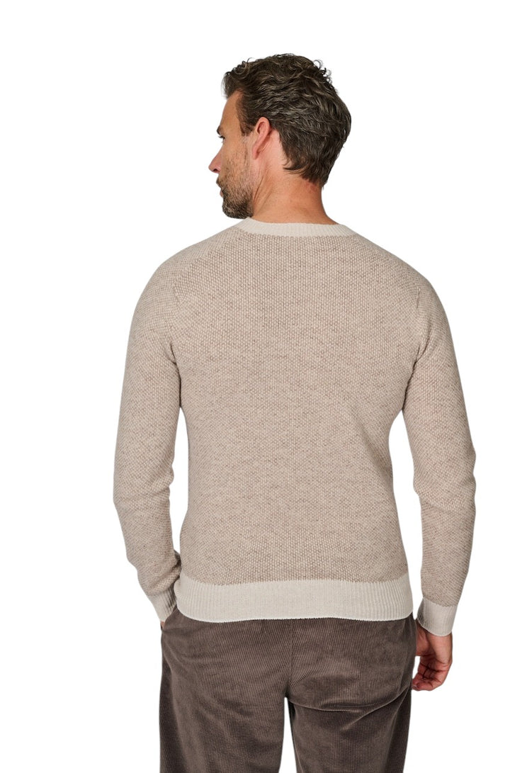 Fradi pull trui ronde hals heren bruin 262MP210262WN5106 504