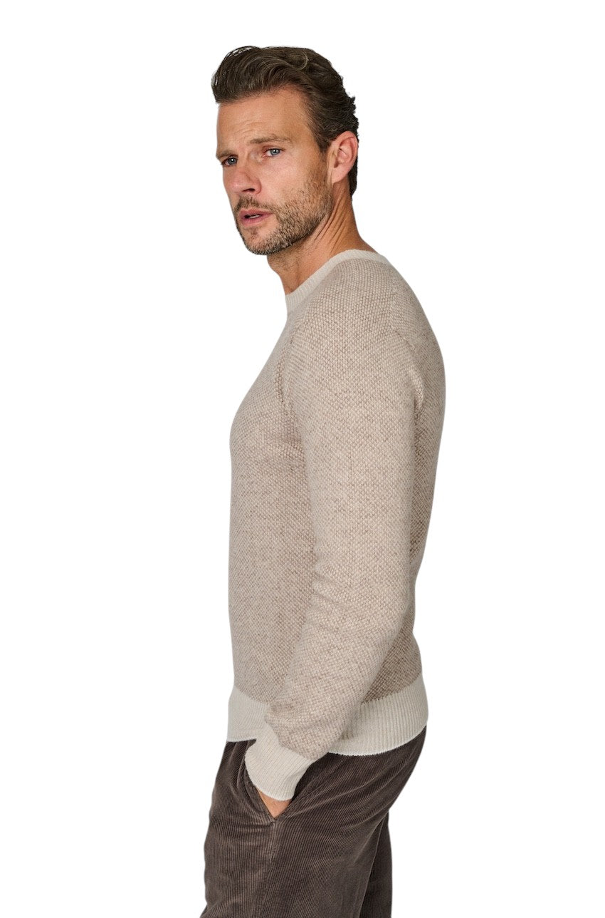 Fradi pull trui ronde hals heren bruin 262MP210262WN5106 504