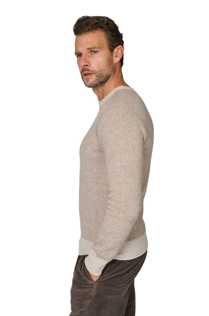 Fradi pull trui ronde hals heren bruin 262MP210262WN5106 504